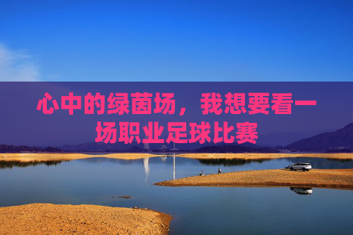 心中的绿茵场,我想要看一场职业足球比赛