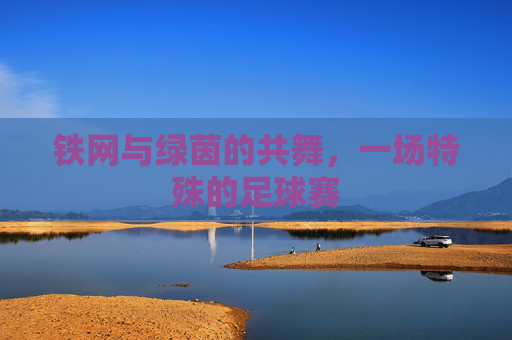 铁网与绿茵的共舞,一场特殊的足球赛