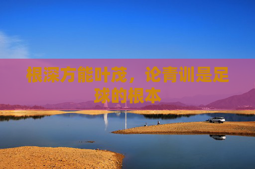 根深方能叶茂,论青训是足球的根本