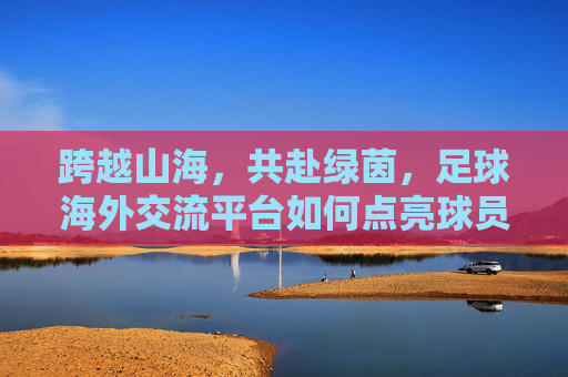 跨越山海,共赴绿茵,足球海外交流平台如何点亮球员梦想