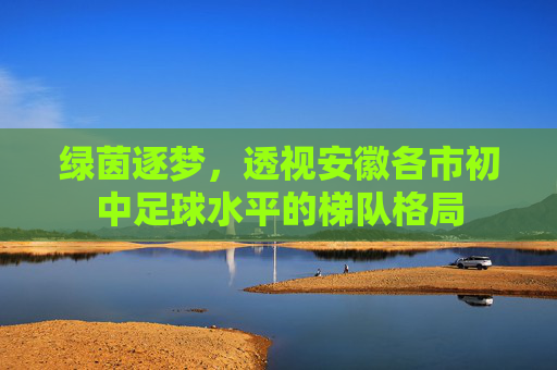 绿茵逐梦,透视安徽各市初中足球水平的梯队格局
