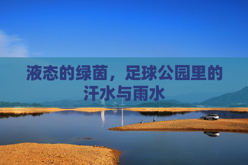 液态的绿茵,足球公园里的汗水与雨水
