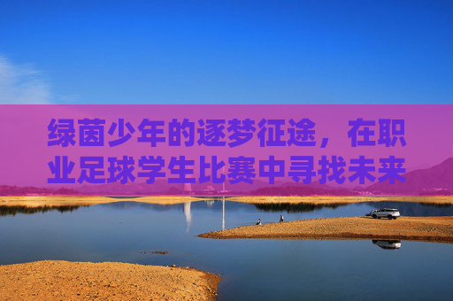 绿茵少年的逐梦征途,在职业足球学生比赛中寻找未来