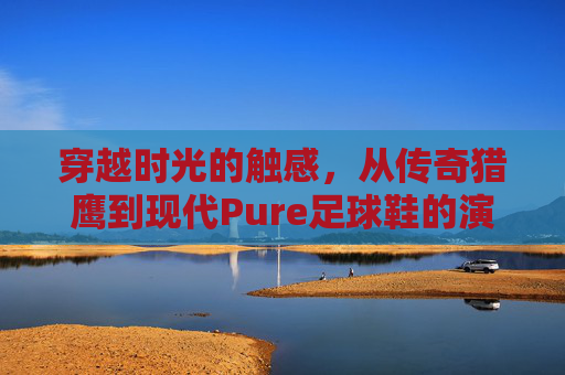 穿越时光的触感,从传奇猎鹰到现代Pure足球鞋的演变