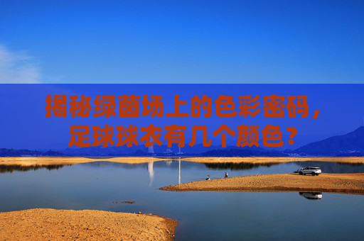 揭秘绿茵场上的色彩密码，足球球衣有几个颜色？