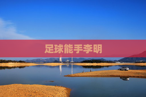 足球能手李明