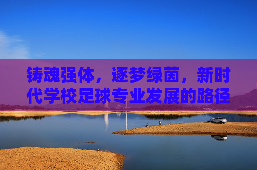 铸魂强体,逐梦绿茵,新时代学校足球专业发展的路径与思考