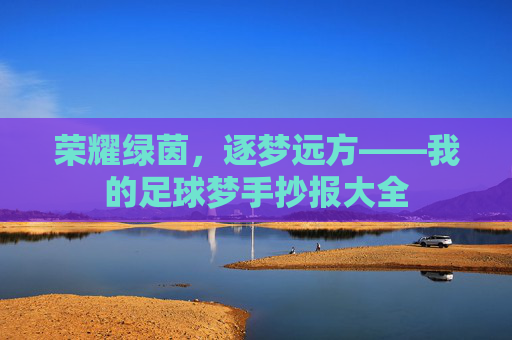 荣耀绿茵，逐梦远方——我的足球梦手抄报大全