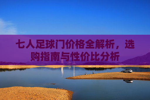 七人足球门价格全解析,选购指南与性价比分析