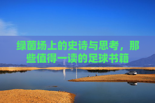 绿茵场上的史诗与思考,那些值得一读的足球书籍