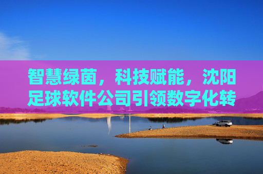 智慧绿茵,科技赋能,沈阳足球软件公司引领数字化转型新篇章