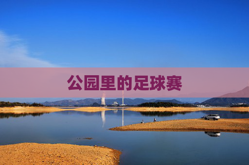 公园里的足球赛