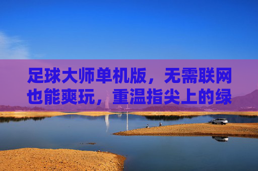 足球大师单机版,无需联网也能爽玩,重温指尖上的绿茵传奇