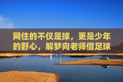 网住的不仅是球，更是少年的野心，解梦向老师借足球网