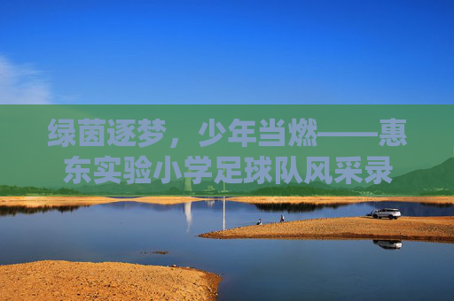 绿茵逐梦，少年当燃——惠东实验小学足球队风采录