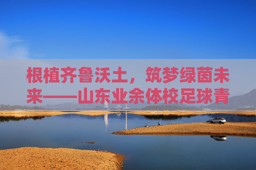根植齐鲁沃土，筑梦绿茵未来——山东业余体校足球青训的坚守与突围