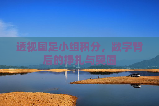 透视国足小组积分,数字背后的挣扎与突围