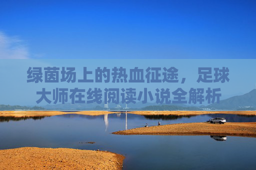 绿茵场上的热血征途,足球大师在线阅读小说全解析
