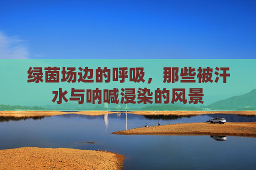 绿茵场边的呼吸，那些被汗水与呐喊浸染的风景