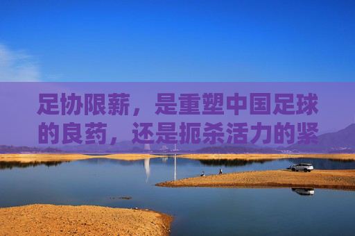 足协限薪，是重塑中国足球的良药，还是扼杀活力的紧箍咒？