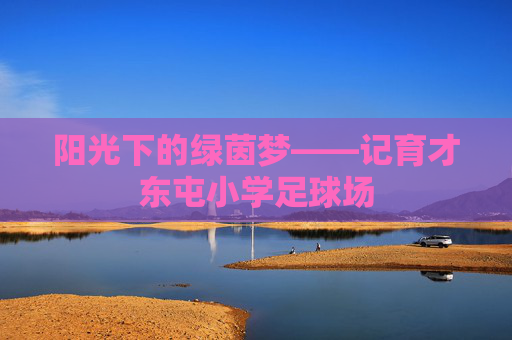 阳光下的绿茵梦——记育才东屯小学足球场