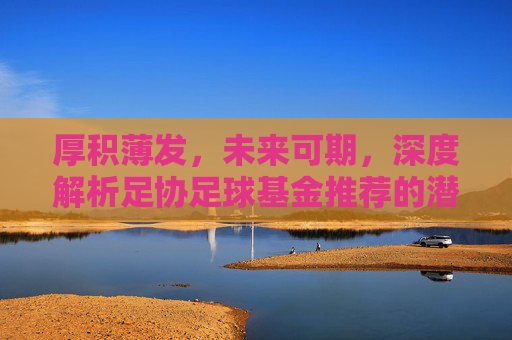 厚积薄发,未来可期,深度解析足协足球基金推荐的潜力之星