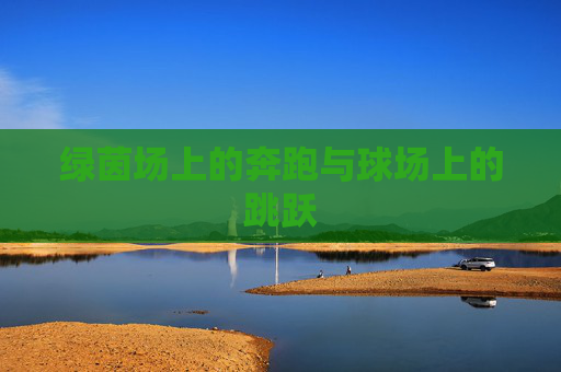 绿茵场上的奔跑与球场上的跳跃
