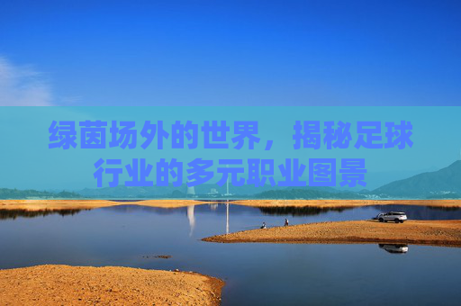 绿茵场外的世界,揭秘足球行业的多元职业图景