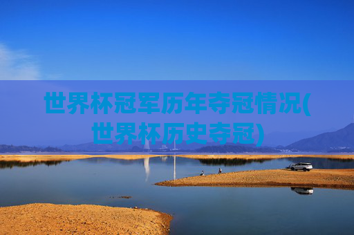 世界杯冠军历年夺冠情况(世界杯历史夺冠)