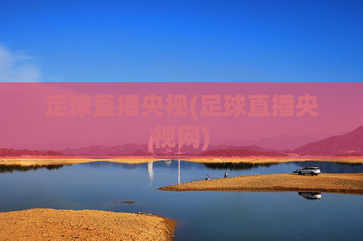 足球直播央视(足球直播央视网)