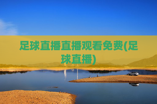 足球直播直播观看免费(足球直播)