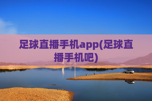 足球直播手机app(足球直播手机吧)