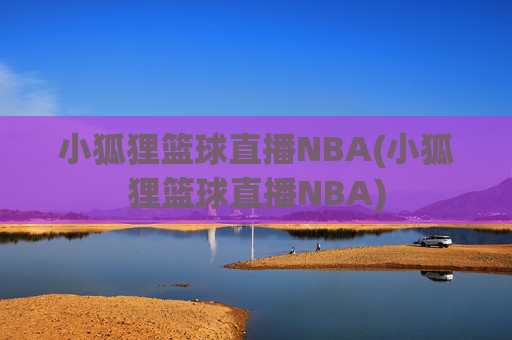 小狐狸篮球直播NBA(小狐狸篮球直播NBA)