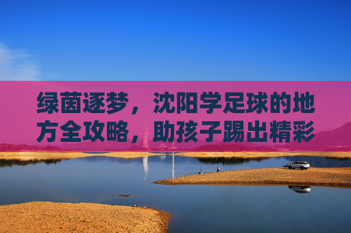 绿茵逐梦，沈阳学足球的地方全攻略，助孩子踢出精彩人生