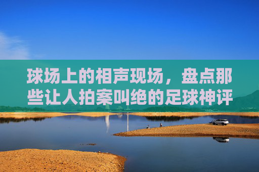 球场上的相声现场，盘点那些让人拍案叫绝的足球神评论