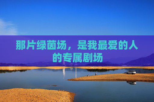 那片绿茵场，是我最爱的人的专属剧场