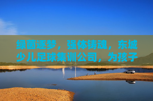 绿茵逐梦，强体铸魂，东城少儿足球集训公司，为孩子开启未来无限可能