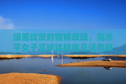 绿茵绽放的铿锵玫瑰，高水平女子足球锦标赛见证竞技巅峰与女性力量