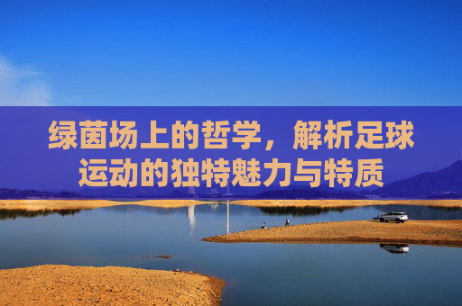 绿茵场上的哲学，解析足球运动的独特魅力与特质