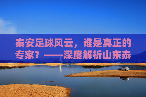 泰安足球风云，谁是真正的专家？——深度解析山东泰山的幕后推手