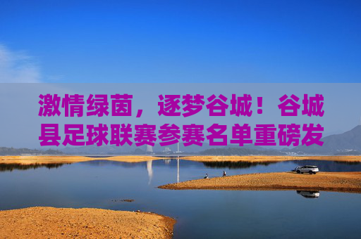 激情绿茵，逐梦谷城！谷城县足球联赛参赛名单重磅发布