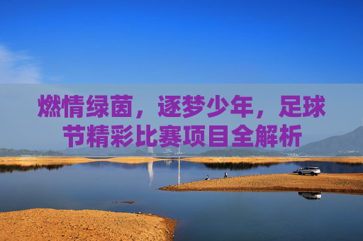 燃情绿茵，逐梦少年，足球节精彩比赛项目全解析