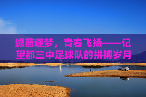 绿茵逐梦，青春飞扬——记望都三中足球队的拼搏岁月