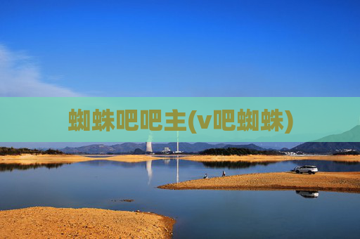 蜘蛛吧吧主(v吧蜘蛛)