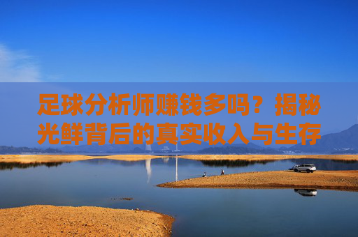 足球分析师赚钱多吗？揭秘光鲜背后的真实收入与生存现状