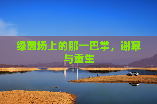 绿茵场上的那一巴掌，谢幕与重生