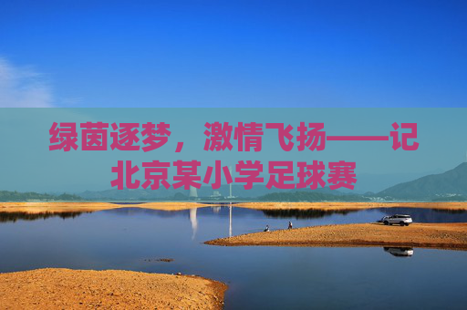 绿茵逐梦，激情飞扬——记北京某小学足球赛