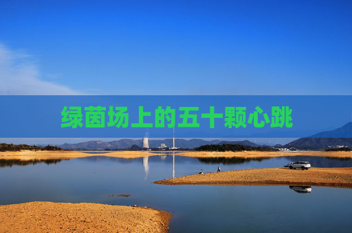 绿茵场上的五十颗心跳
