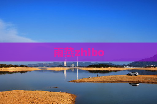 雨燕zhibo