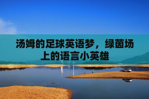 汤姆的足球英语梦，绿茵场上的语言小英雄